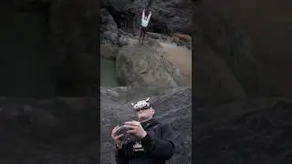 Risky Dive with Avata 2 | FPV Pilot POV #djiavata2