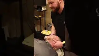 Neck Crack Relief From Utah Chiropractor