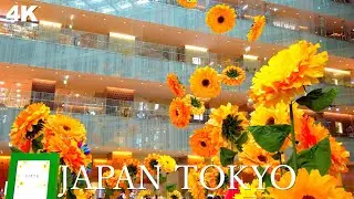 4K Strolling around Tokyo Station area in Japan. ASMR non-stop 1 hour