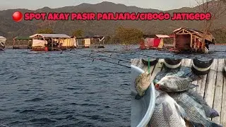 Eps.7 part 2 di rakit akay pasir panjang jatigede .#mancingjatigede.
