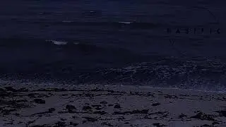 ASMR Seaside Serenity | Ocean Breeze & Gentle Waves for Sleeping, Studying, and Relaxing