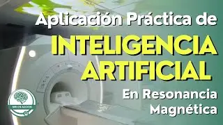 Aplicacion Practica de la IA en Resonancia Magnetica