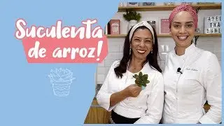 COMO FAZER FLORES DE PASTA DE ARROZ