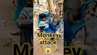 monkey attack# chella magale Song | Jana Nayagan Movie| Vijay H.Vinoth Mamitha baiju Pooja Hedge
