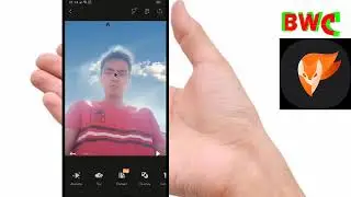 Tutorial MUDAH  gambar Burung Terbang VIRAL / Tutorial  Pixaloop pro TERBARU