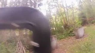 Control (forest fire)