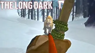 We Got Smacked | Broken Railroad | The Long Dark Stalker S21 E251