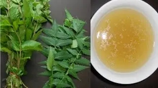 Excessive Sweating? Best home remedy to control excessive sweating and stay fresh all day.