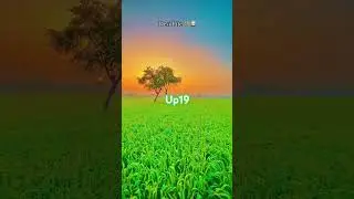 #new #upkisan #farming #shamli #upfarmers