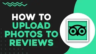Как загрузить фотографии в отзывы на Tripadvisor (краткое руководство)