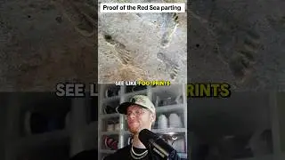 PROOF that the RED SEA was PARTED🤯😱‼️ #christian #bible #history #shorts