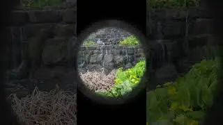Nature&rsquo;s Masterpiece: The Stunning Waterfall at Regents Park #shortvideo #nature #waterfall