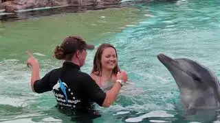 Dolphin Marine Magic Coffs Harbour - Swim with the dolphins