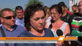 Жива верига в Шарково! Временно е преустановено избиването на животни