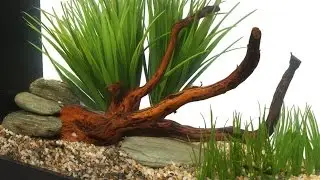 HOW TO: Aquascape a Small Aquarium (ft. Fluval Spec)