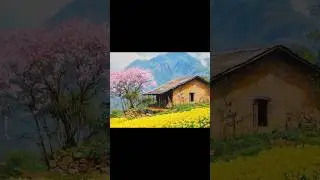 🎨 Painting a Peaceful Spring Countryside House #huyacrylicpainting #acrylicpainting #painting