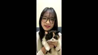 Live IDN Oniel JKT48 - 1 November 2025 | 22.10 WIB