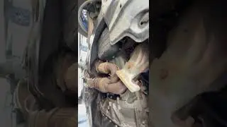 В чем преимущество южных Штатов, для покупки автомобиля? #copart #automobile