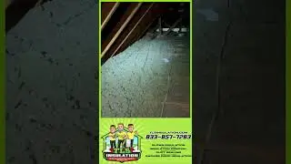 Maximize Your Home's Efficiency: Free Attic Inspection & Insulation Tips!