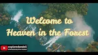 Everything about Dandeli | Dandeli heaven in the forest | Explore Dandeli