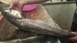 Huge Whiting Fish Cleaning and Filleting | How To Clean Fish