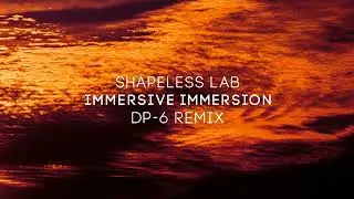 Shapeless Lab - Immersive Immersion (DP-6 remix) [DP-6 Records]