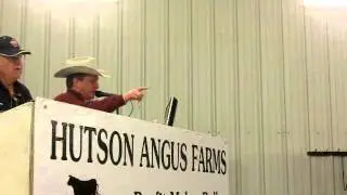 High Selling Profitmaker Angus Bull 2013
