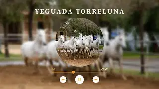 Yeguada Torreluna 2020