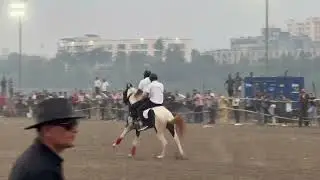 Surat Horse Show 2026 