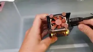 Hominoid Case Assembly Video