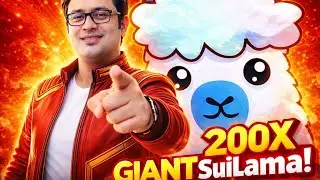 🔥 SUILAMA 🔥 WHERE HUMOR MEETS PROFIT! 🔥 SUILAMA 🔥 DISCOVER THE NEW MEME COIN!