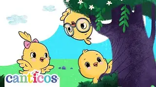 Chickie Hide & Seek🙈 Peekaboo Achoo! 🙈🎶Canciones Infantiles & Kids Songs | Canticos