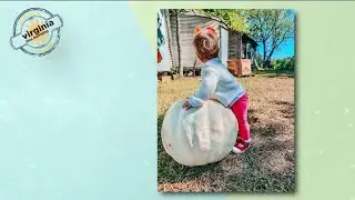 Top 6 Picks: Pumpkin Patches in Central Virginia