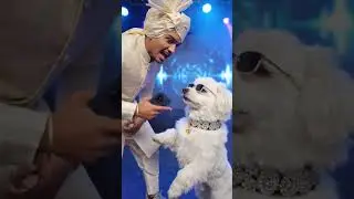 circle me and my dog is raip ya song gate huye