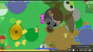 MOPE.IO RARE TOUCAN GET(NEW ZOMBIE MODE AND NEW FOODS!)