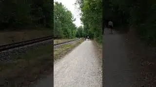 BR 648 driving past with Lighthorn