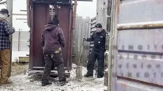 Installing Virtual Fencing Collars on Bison