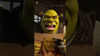 Trailer Shrek 5 Fan Animation #ai #shrek5 #trailer #fananimation #dreamworks #donkey #shrek #parody