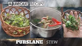  Manipuri Authentic Stew 🍽🥗# Leibak kundo kangshoi thongba#purslane recipe#Noni shaag recipe 
