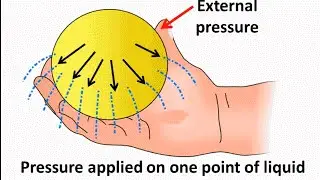 Physics  - Fluid pressure and Pascal's law - English