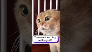 Still Ignoring ByteLixir? Even Cats Are Earning&hellip;