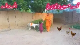Village Culture | Ghar Mein New Bakri Ai | Mona Bhuto