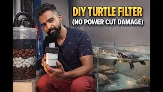 DIY Canister Filter for Turtle Tank | 3000 LPH Upgrade | Safe During Power Cuts