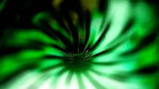 Tea Tree & False Identity - It&rsquo;s Not Voodoo -