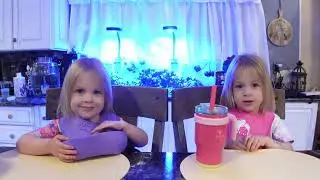 Twins try chicken broccoli soup