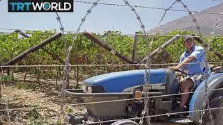 Small-scale farmers find new platform to trade | Money Talks