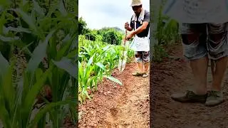 DIY Fertilizer Tool: Simple and practical, delivers fertilizer precisely&mdash;saving time and effort!