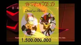 Shadow y Rouge 
