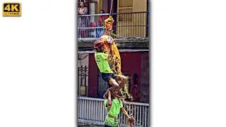 Dahi Handi WhatsApp Status 2022 || Dahi Handi Status 2022 || Dahi Handi Special Status ||
