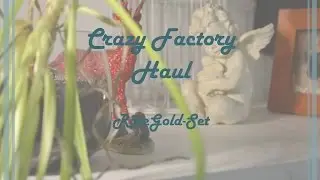 Crazy Factory - Haul // RoseGold-Set, Unboxing/Unpacking